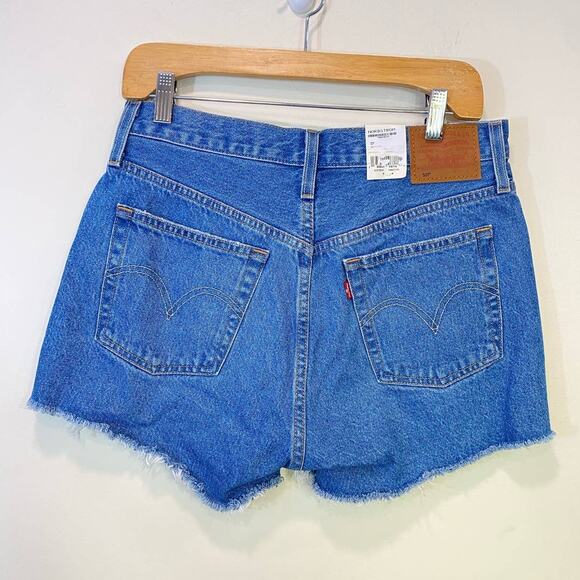 NWT Premium Big  E Raw Hem Shorts Button Fly High Rise Distressed Festival 28 - Picture 1 of 14